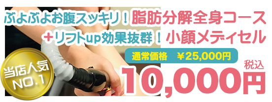 写真:メディセルコース