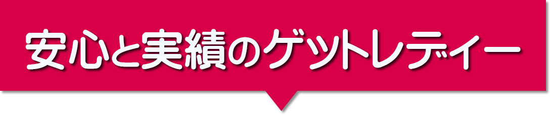 安心と実績のゲットレディー