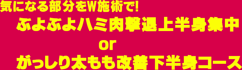 気になる部分をW施術で! ぶよぶよハミ肉撃退上半身集中 or がっしり太もも改善下半身コース
