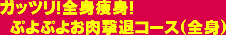 ガッツリ!全身痩身! ぷよぷよお肉撃退コース(全身)