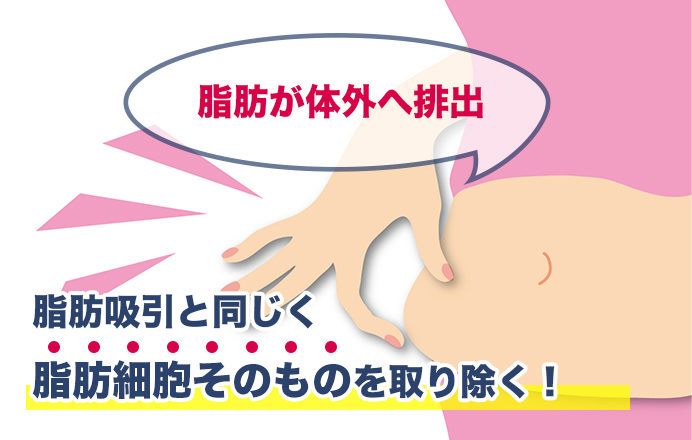 脂肪が体外へ排出