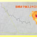 目標に向かって！！(^o^)／