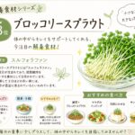 解毒食材第３位(*^^*)